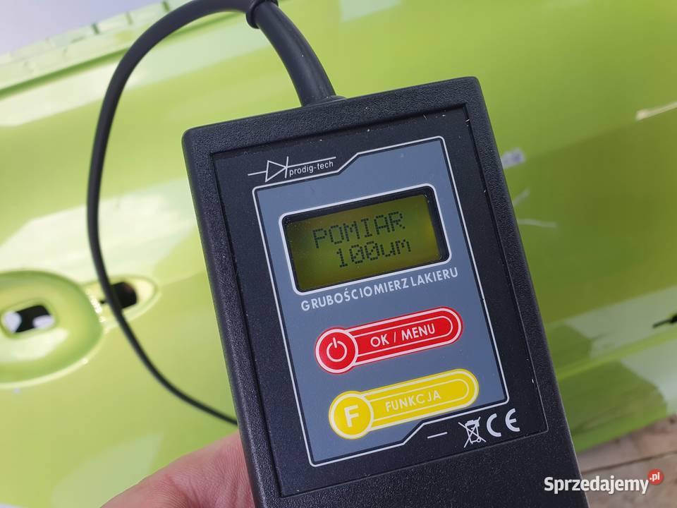 DRZWI PRAWY TYŁ Renault Clio III 2005 EUROPA lubelskie Chełm sprzedam