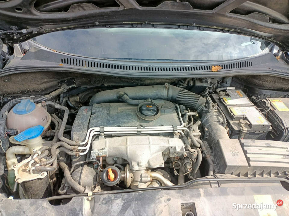 Seat Altea Seat Altea 20TDI 140 05r I 2004 Tarnów