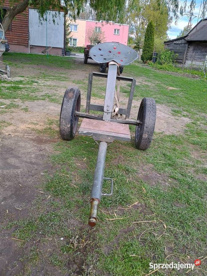 Sprzedam dzik 2 lubelskie Polatycze