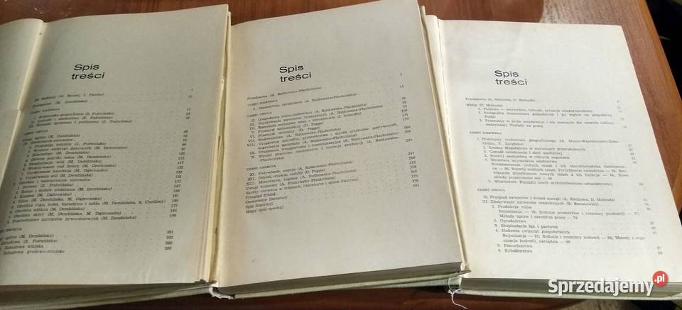 Historia kultury materialnej Polski w zarysie Gdańsk