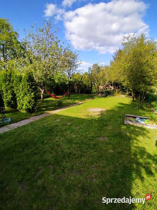 Działka ROD Łódź górna 123zł/m2 Grunty i działki