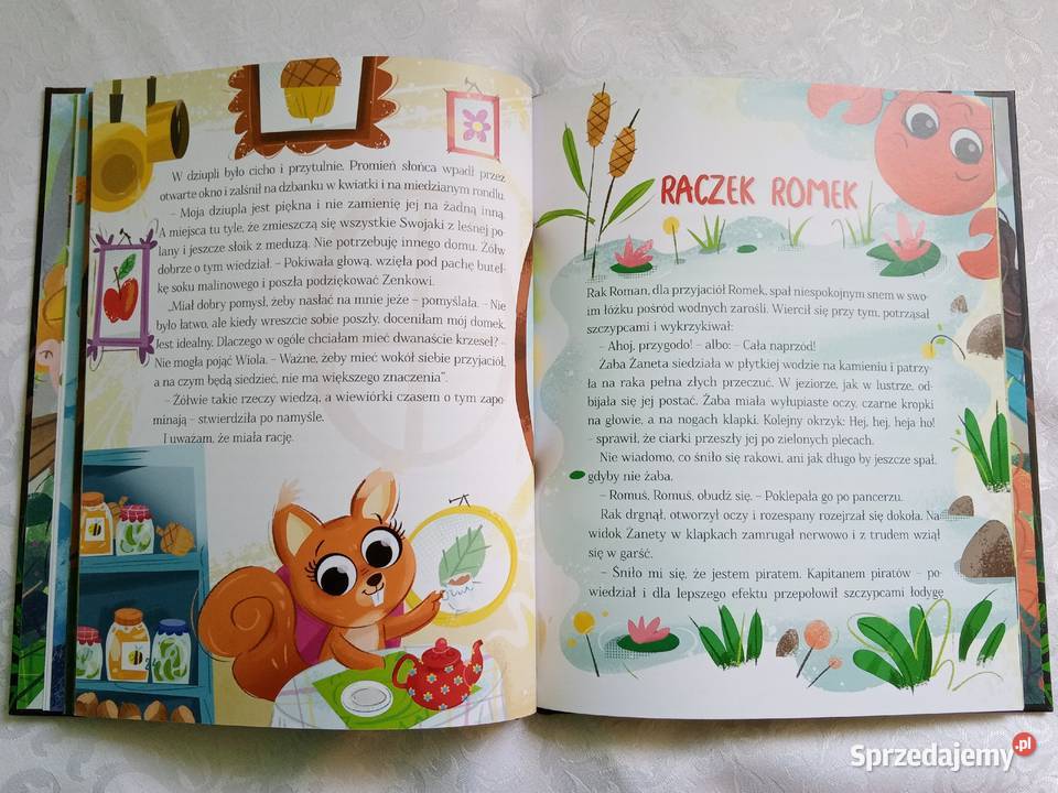 nowa książka gang swojaków swojaki biedronka Giżycko