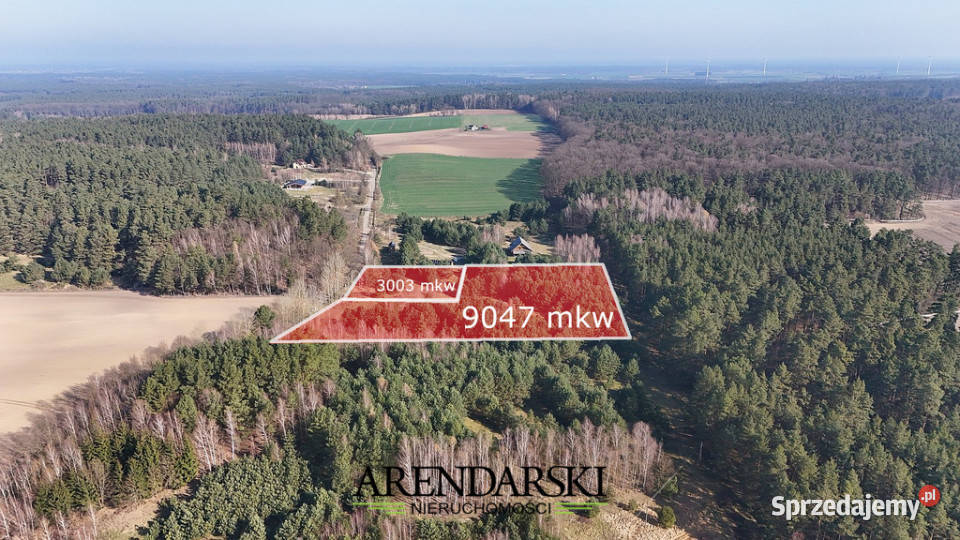 DZIAŁKI W MALOWNICZEJ OKOLICY utwardzona Nowe Dzieduszyce