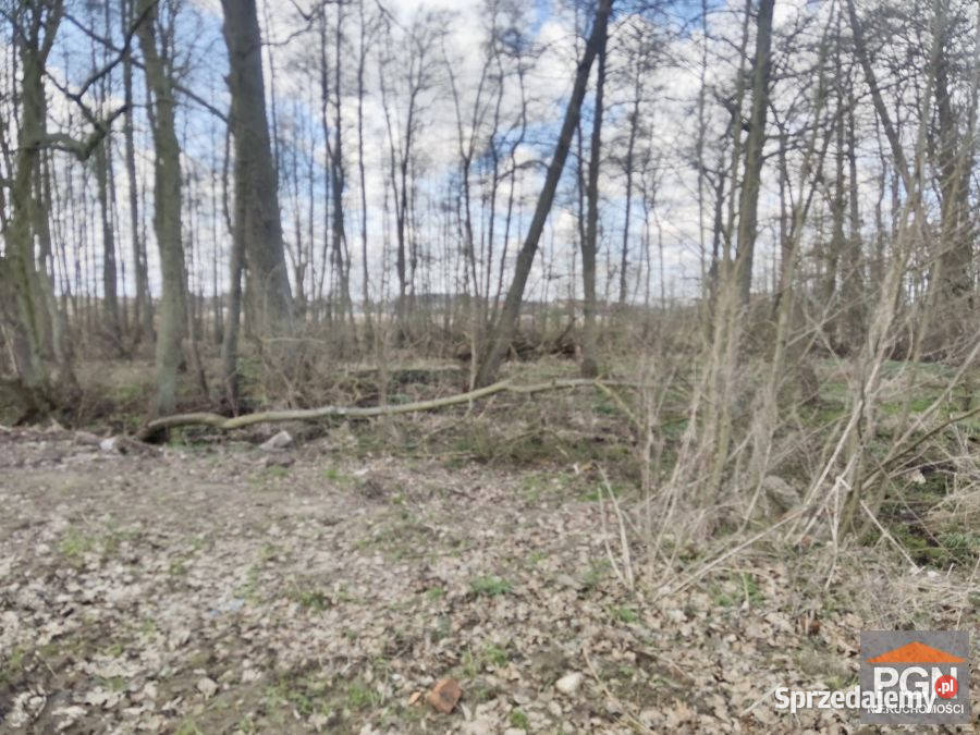 Do sprzedaży działka Wolin Boczna 6470m2 100m