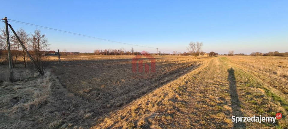 Grunt Dąbrowica 15000m2