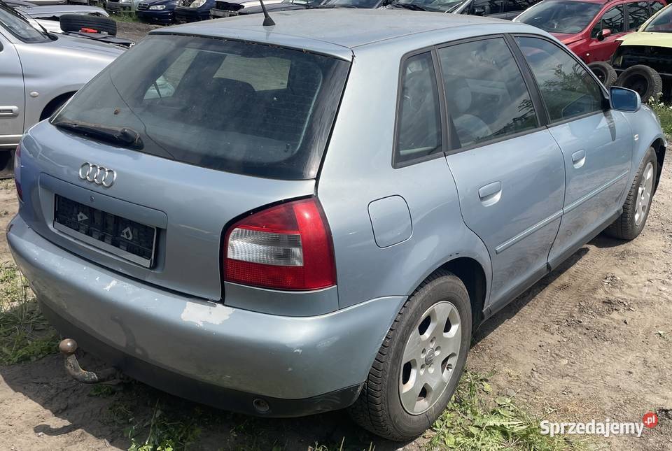 Vw Golf V 16 FSI BLP HBM LA7W Na Części Piotrków Trybunalski