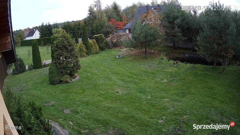 Działka budowlana 10 ar dobrzeń wielki ameryka Opole