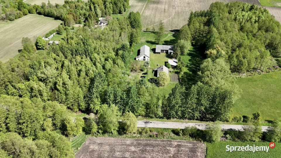 Siedlisko w Dańcach gmina Hańsk