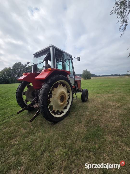 Masey ferguson 698 Chojnów