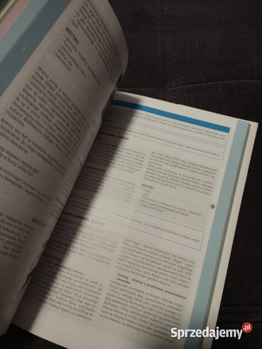 Matura VADEMECUM 2020 repetytorium język polski Poznań