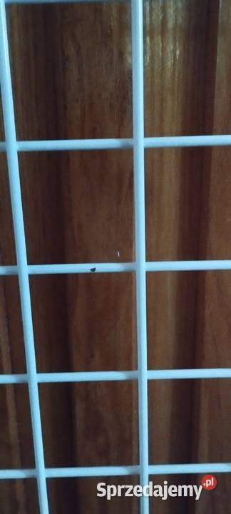 Krata ekspozycyjna 15056 Lublin