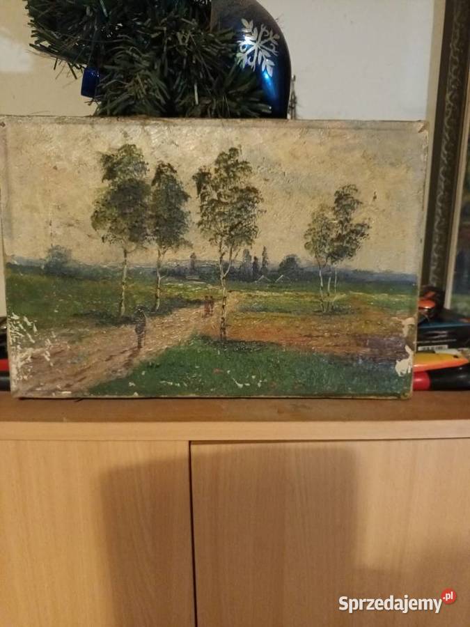 Wiejska droga na Śląsku Bielsko-Biała