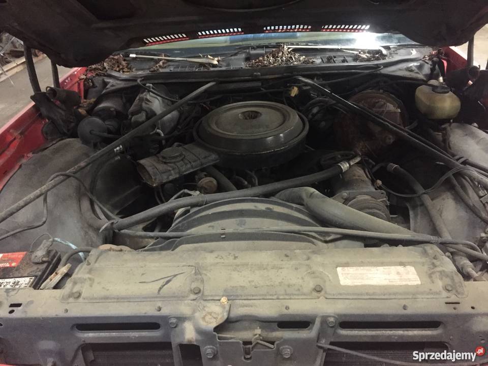 GMC Caballero V8 ElCamino HotRod VAT marża Bolszewo sprzedam