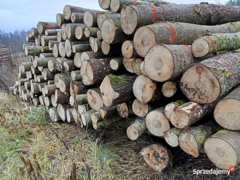 Różne rodzaje drewna opałowegokominkowego Rybno