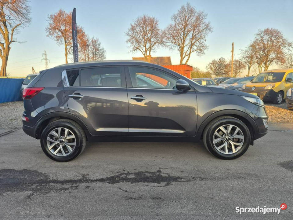 Kia Sportage 16GDI 135 Lift Ładna III 20102015 Gniewkowo
