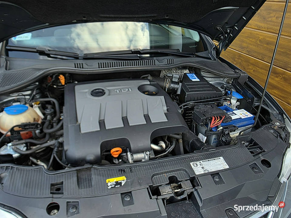 Seat Ibiza IV 2008 ESP śląskie Rydułtowy