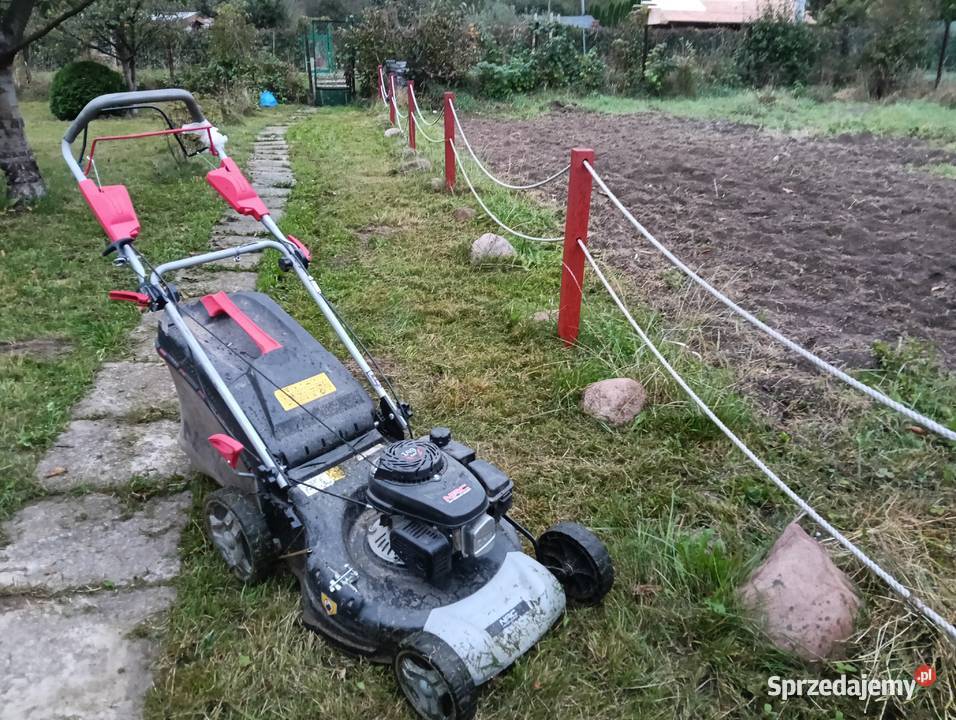 Ogrodnik pełen zakres usług Ostrowiec Świętokrzyski