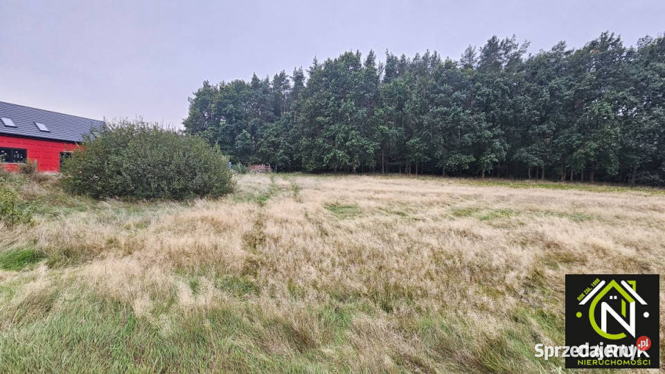 Grunt 1041m2 Kołczewo sprzedam
