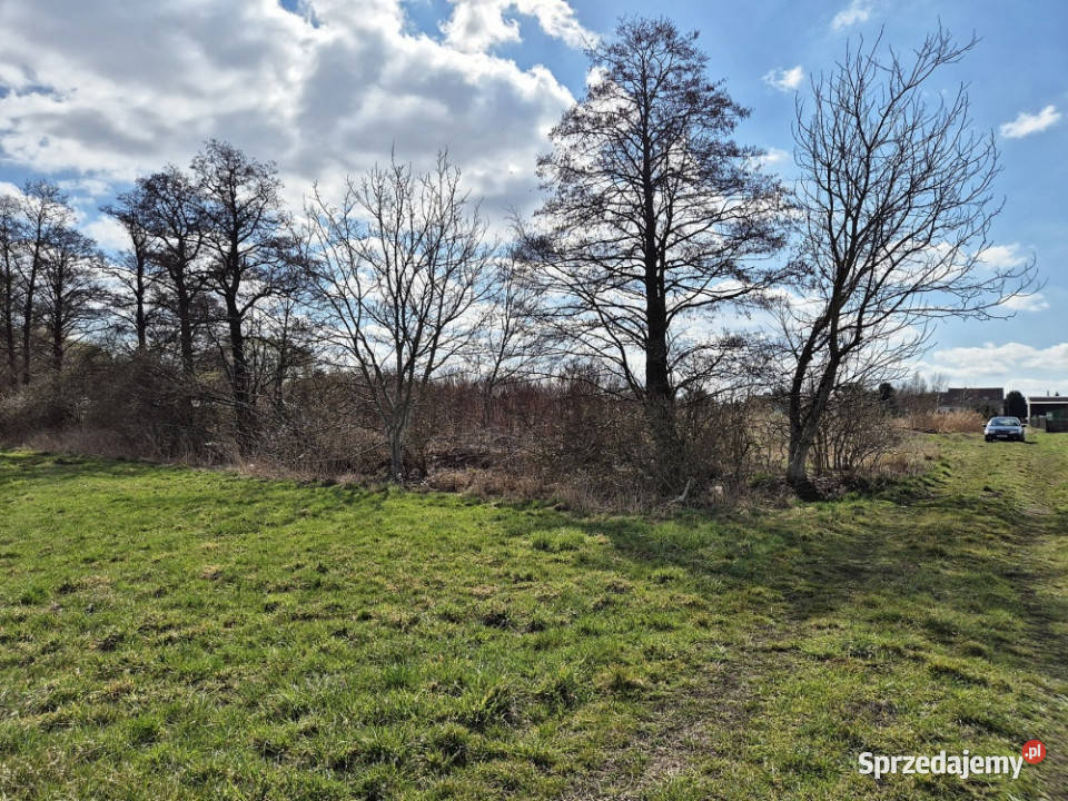 POZNAŃ Działka budowlana z DWZ pod zespół domów Sprzedaż Poznań
