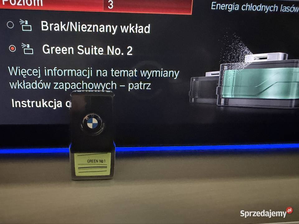 BMW G31 530d Trzebnica