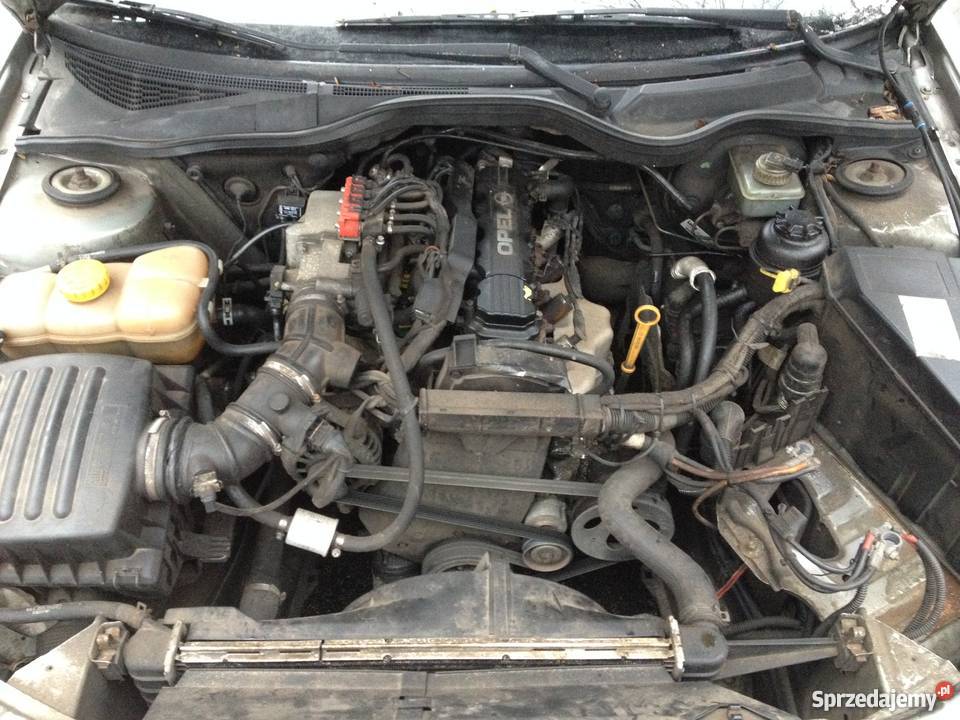 Opel Omega B Kombi 20 8v BenzynaGaz klimatyzacja Omega Radom