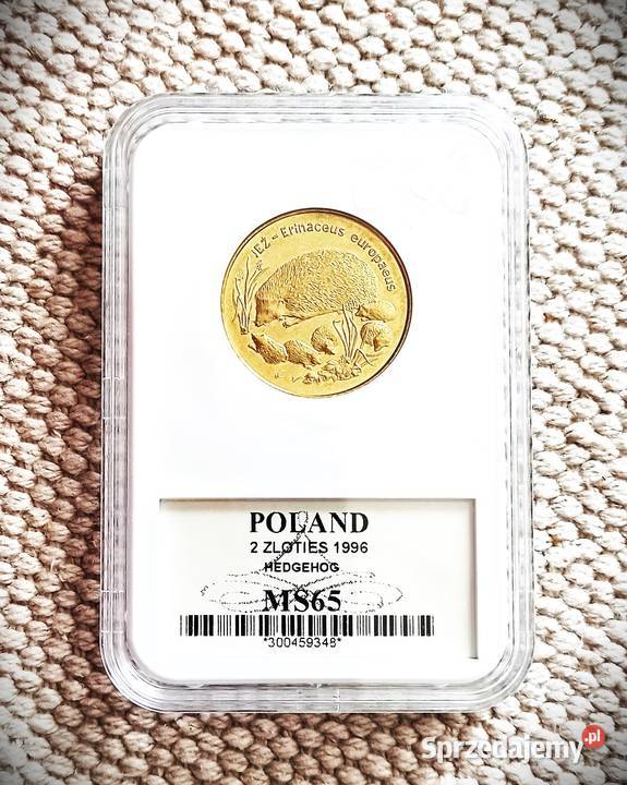 2 1996 r Jeż GCN MS65 Numizmatyka Wrocław