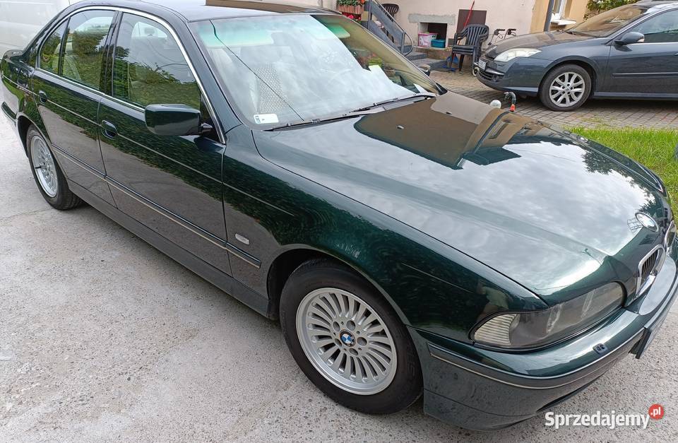 BMW 520d E39 2003r 136 zadbany pierwszy właściciel Grodzisk Wielkopolski sprzedam
