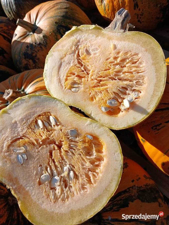 Dynie Kabocha Pozostałe Pińczów