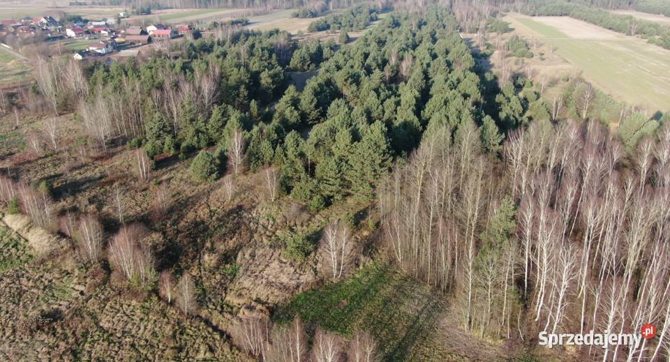 Piękne działki Dąbek