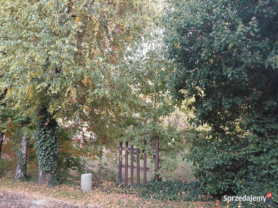 Kraków Wola Duchacka Klonowica
