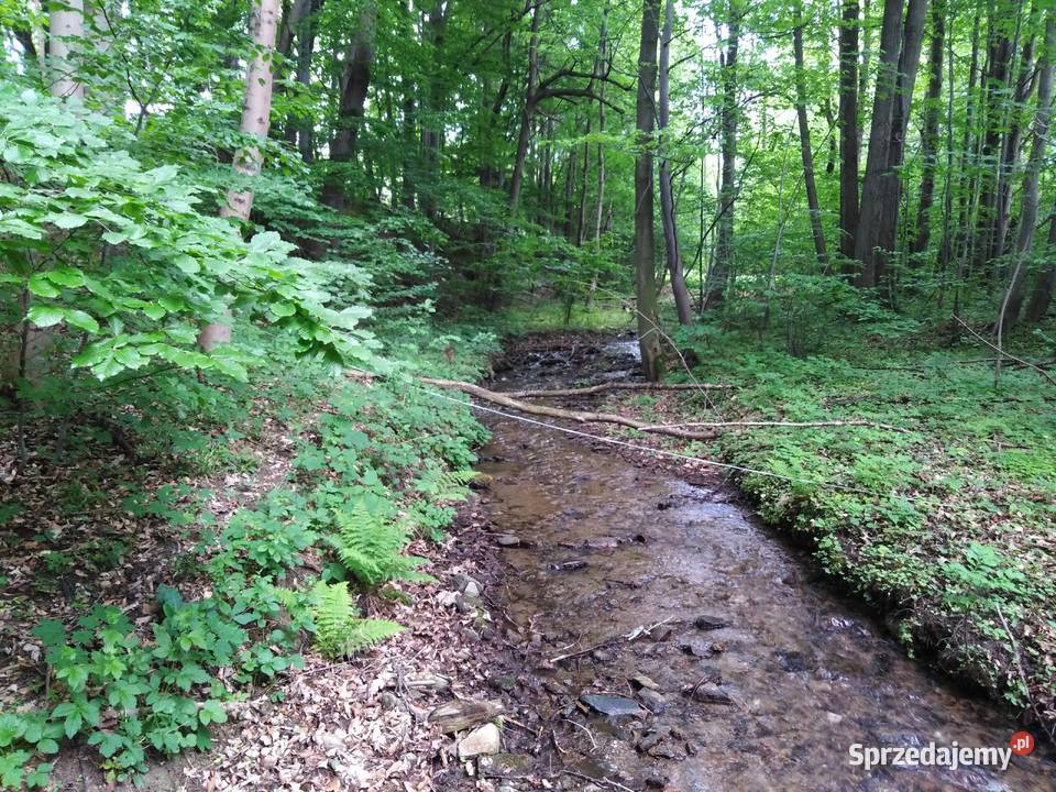 Działka z decyzją o war zabudowy Czarnej Góry Nieruchomości dolnośląskie Idzików