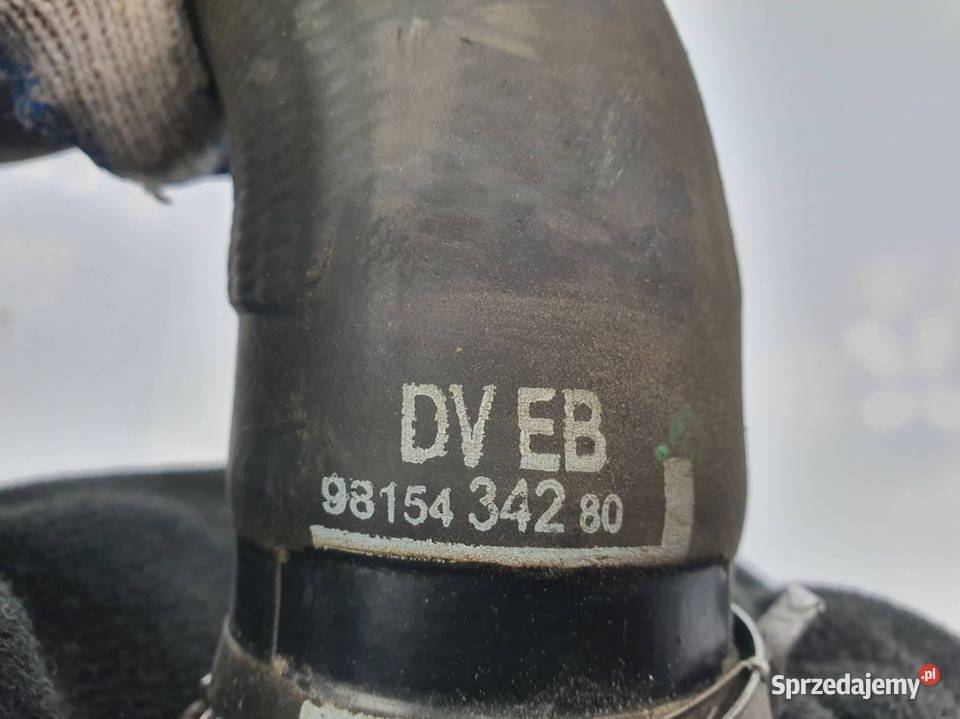 PRZEWÓD RURA DOLOT PEUGEOT 308 9815434280 Lipno sprzedam