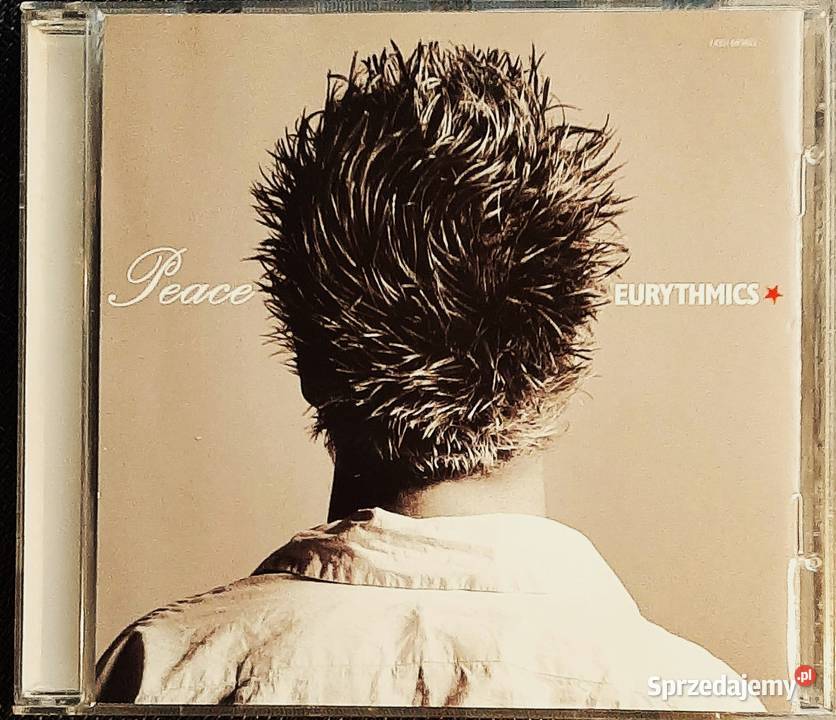 Album CD ANNIE LENNOX Eurythmics Diva Kultura i Rozrywka Warszawa