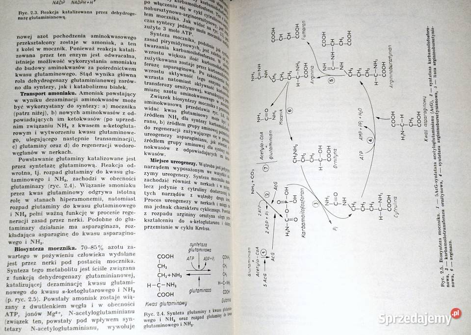 Nauka o chorobach wewnętrznych Tom 4 Witold Chełm