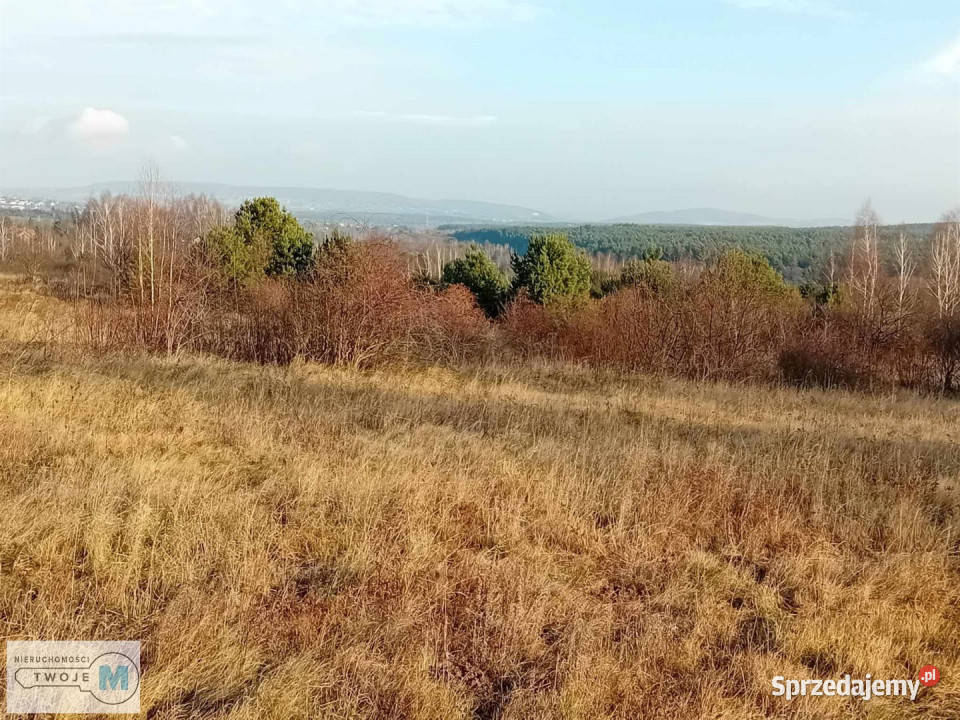 Działka Daleszyce 17841m2 sprzedam