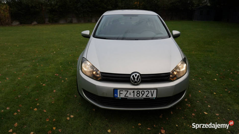 Volkswagen Golf z Niemiec zarejestrowany Golf Zielona Góra