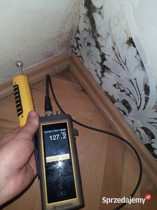 wycieków osuszanie odgrzybianie Gdańsk