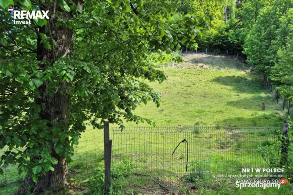 Działka pod lasem z widokiem na góry Wisła sprzedam