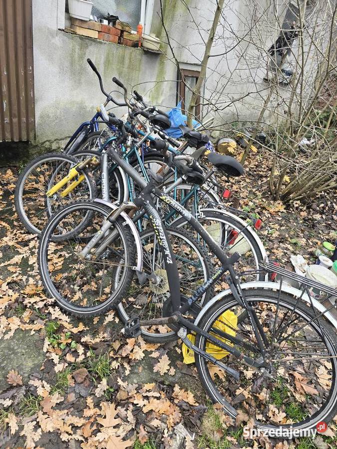 Rowery Kultura i Rozrywka Żary sprzedam