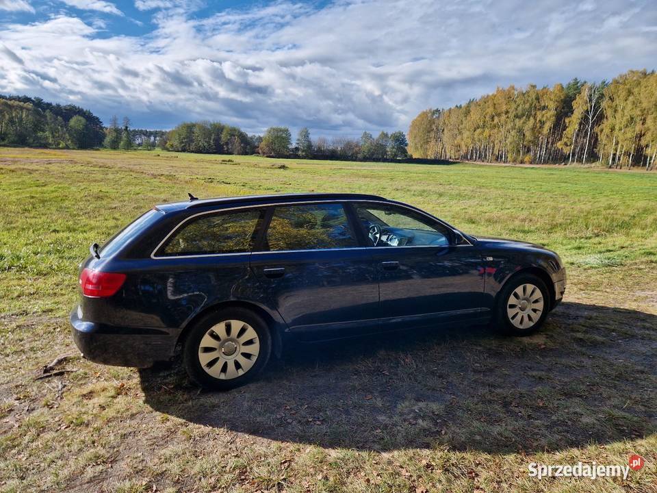 Sprzedam Audi A6 C6 Avant 20 TDI 2007r Kombi A6 Śrem