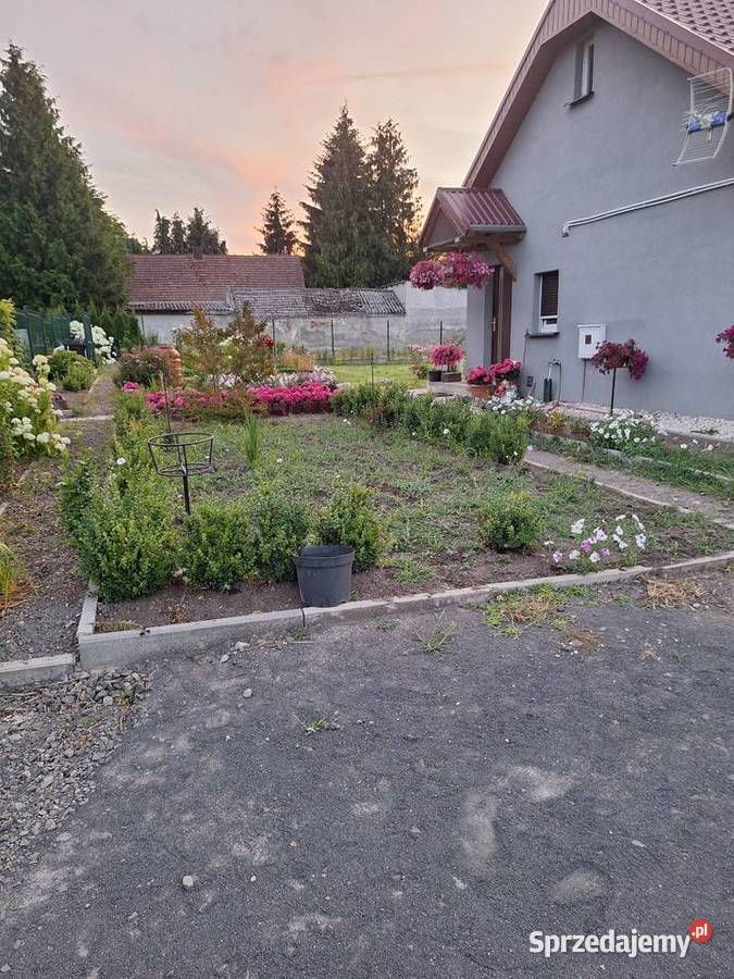 Nowy dom na sprzedaż 2022 budowy Sprzedaż