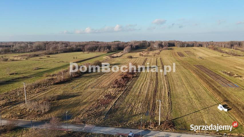 Ogłoszenie grunt 3263m2 Jodłówka małopolskie
