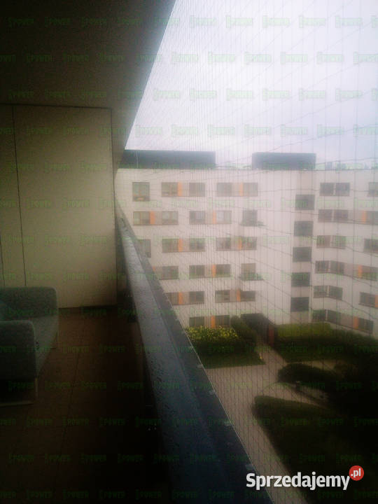 Siatka na balkon kota z montażem Warszawa Siatka usługi dla zwierząt