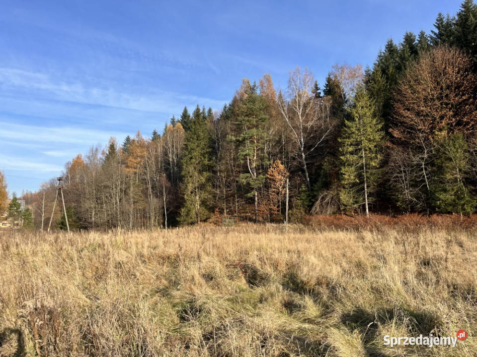 34 h działki budowlanej pod Babią Górą Zawoja