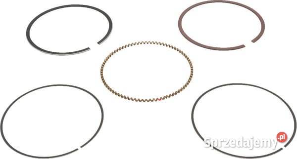 Zestaw pierścieni 13010Z6L003 Części i akcesoria Kamionna