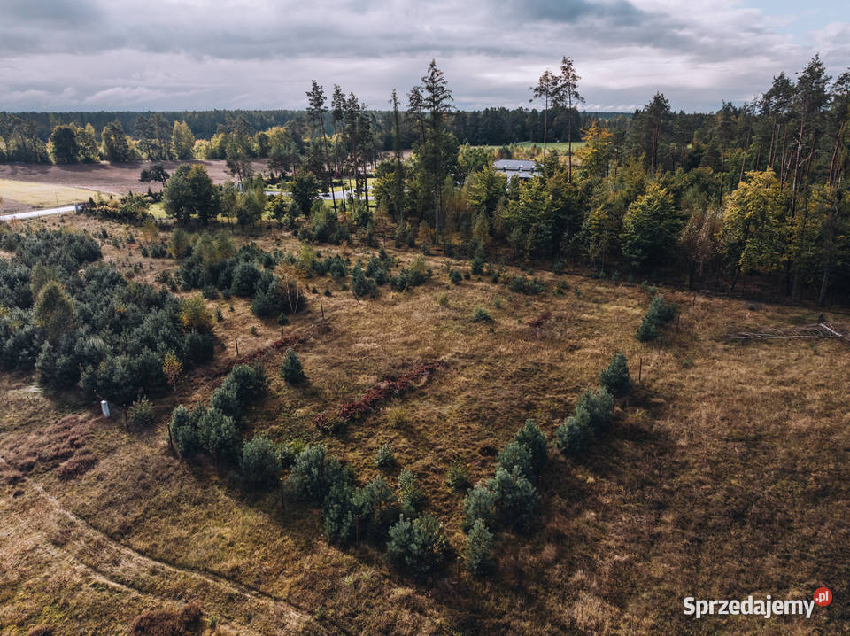 Sulęczyno I Kaszuby I spraw sobie zakup przed