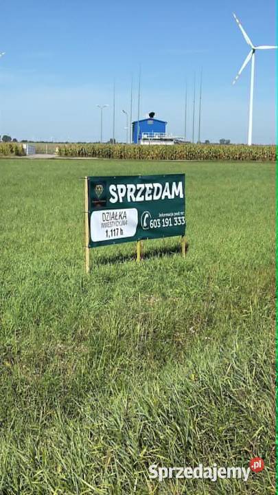 MIŁOSŁAW DK15 GOTOWY GRUNT POD INWESTYCJĘ 117 ha wielkopolskie Miłosław