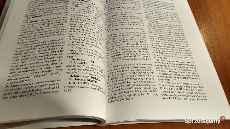 Słownik gwar polskich T 6 z 4 Drużni Dużny Karaś Gdańsk