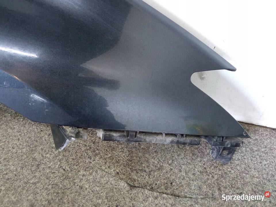 BŁOTNIK PRAWY TEB66 Renault Laguna III 2007 świętokrzyskie