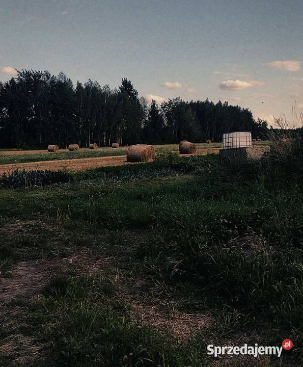 Sprzedam słomę Radom sprzedam